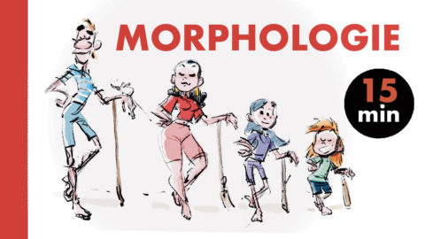 Exercice express de morphologie